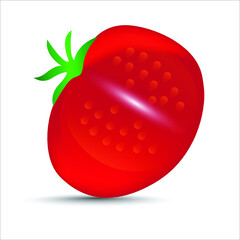 Fresh tomatoes vegetables on white background  vector illustration design