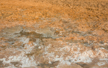 Salty soil