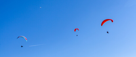 sports paragliding on a parachute over the countryside
