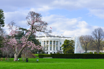 Obraz premium White House in springtime - Washington D.C. United States of America