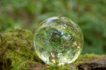 beautiful woodland scenery reflected upside down in a crystal ball