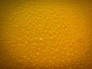 Abstract bubbles with light and color