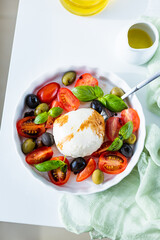 Mozzarella cheese salad plate with fresh tomatoes, black and green olives, basil. A glass of red wine, olive oil dressing.