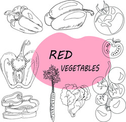 Set of red vegetables, vector illustration, sketches of ripe peppers, tomatoes, lettuce, carrots, line art, hand-drawn. Suitable as logo, icon, pattern element, print on fabric, kitchen and cafe decor