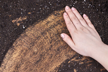 A woman farmer runs her hand along the earth on a wooden background.