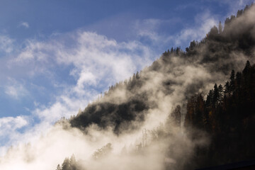 fog rising over the forest on the hill in winter weather in the morning