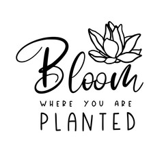 Bloom where you are planted with a beautiful lotus flower is great as a tshirt print or greeting card. Vector quote isolated on white