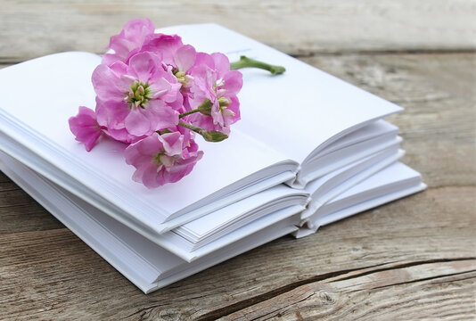 Pink gilliflower  on wooden table and the opened books