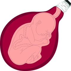  Baby In Stomach, Blub