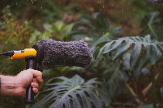 Hand holds a microphone gun for recording the sounds of nature. Ambient sound recording