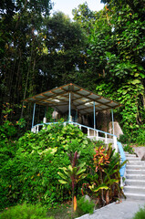 Fototapeta na wymiar Shrine in the tropical forest