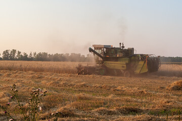 Harvester in the field. Grain harvesting.