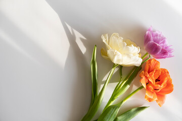 A bouquet of flowers laid out on a light background. Bouquet for March 8, Mother's Day, Teacher's Day.