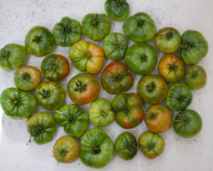 Fresh organic unripe green and red tomato on white background. Top view