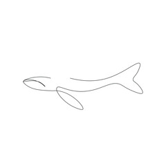 Whale animal line drawing, vector illustration