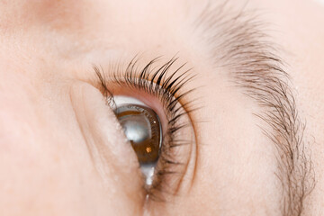 Close up view of beautiful female eye with long natural lashes. Eyelash extension procedure....