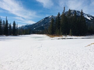 The majestic pristine Bow valley