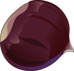 Soft  Chestnut Vector Illustration