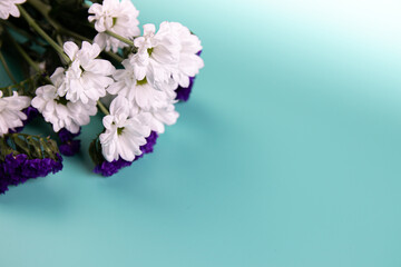 White and purple flowers on pastel background