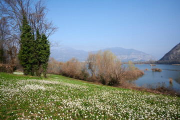 Naklejka premium torbiere