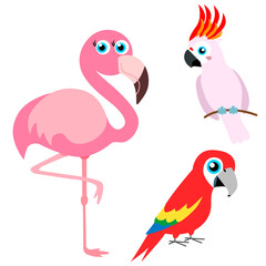 Set of funny birds, vector illustration
