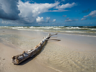 wild beach on the Baltic Sea