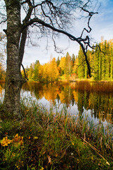 Obraz premium Lovely autumn day