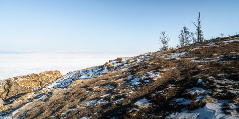 Three larch trees on the edge of the cliff