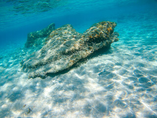 Underwater in blue waters of Ionian Sea in Greece