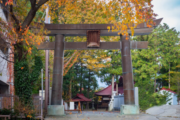 Japan street. Japanese arch next to autumn trees. Japan street with traditional buddhist arch....