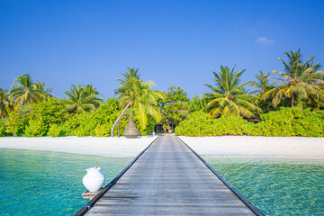 Beautiful tropical landscape background, luxury summer travel and vacation. Wooden pier into island against blue sky with white clouds, panoramic view. Maldives islands jetty with palm trees nature