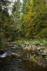 Scenic view of shallow stream and autumnal forest in mountains 