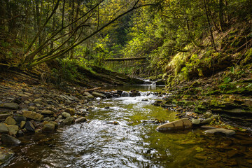 Mountain stream and hills with trees in autumn forest  