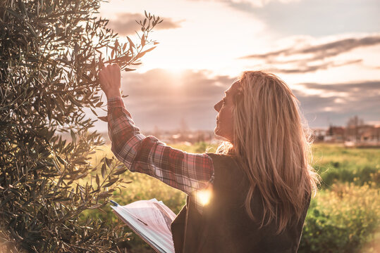 Female field engineer using a note book in agricultural plantation of olives. Integration of women in the field, agriculture and happy women concepts - Powered by Adobe