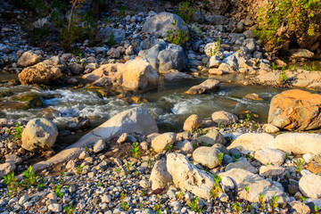 Scenic landscape with beautiful mountain brook. Idyllic scenery with clear water in small river. Fast water flow close-up