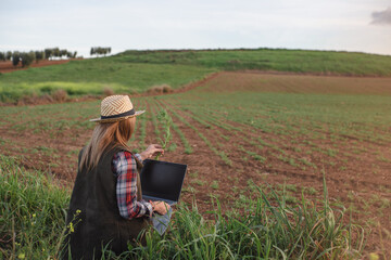 Female field engineer using computer in agricultural plantation. Integration of women in the field, agriculture and happy women concepts