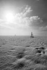 landscape with snow and trees