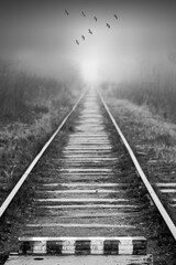Obraz premium Birds fly over empty abandoned railway in foggy forest