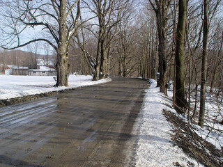 Back road in Vermont lined with sap buckets