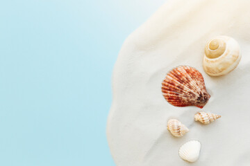 Travel, vacation concept. Sea shells on sand and blue background. Travelling