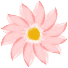 Fototapeta na wymiar Single pastel pink watercolor flower. Created with real brush strokes. Vector.