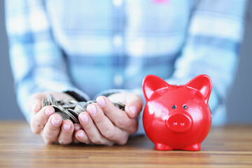 Female hands are holding handful of coins next to red pig piggy bank