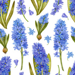 Seamless pattern with blue watercolor hyacinths on a white background. Pattern with spring bright flowers.
