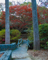 Spring In The Park