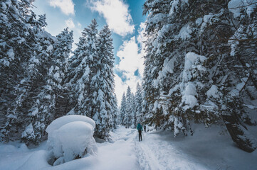 Mountaineer backcountry ski walking ski alpinist in the mountains. Ski touring in alpine landscape...