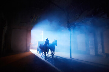 silhouettes of horse in the city