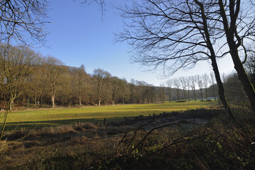 Landscape in winter in bright sunshine