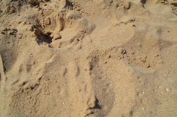 fondo arena y piedras
