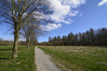 Landscape with a lonely path in bright sunshine