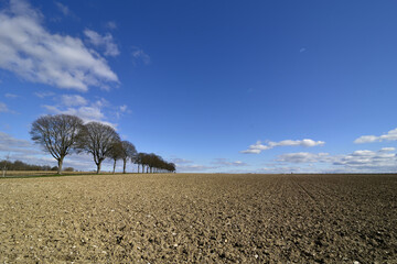 Landscape with wide field by bright sunshine